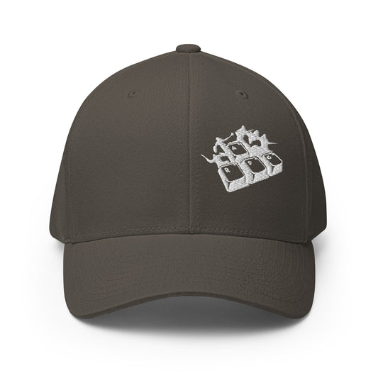 ARPG Fitted Baseball Hat (Grey)